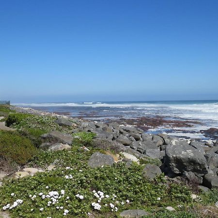 Palm Villa Cottage Kommetjie Buitenkant foto