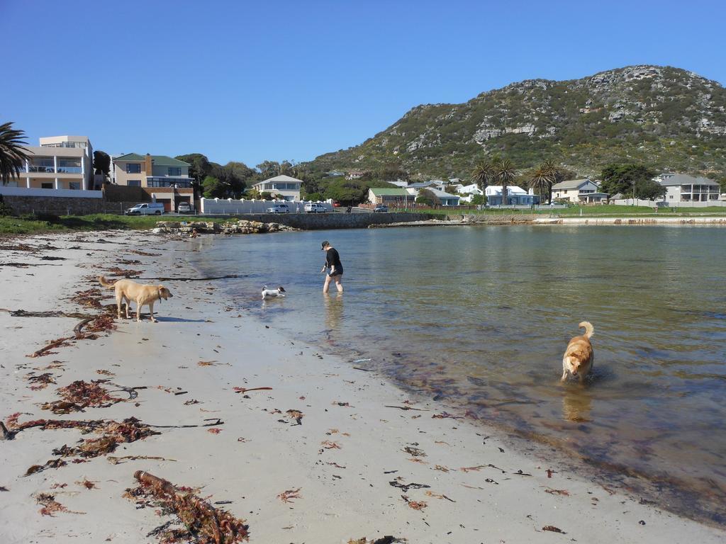 Palm Villa Cottage Kommetjie Buitenkant foto