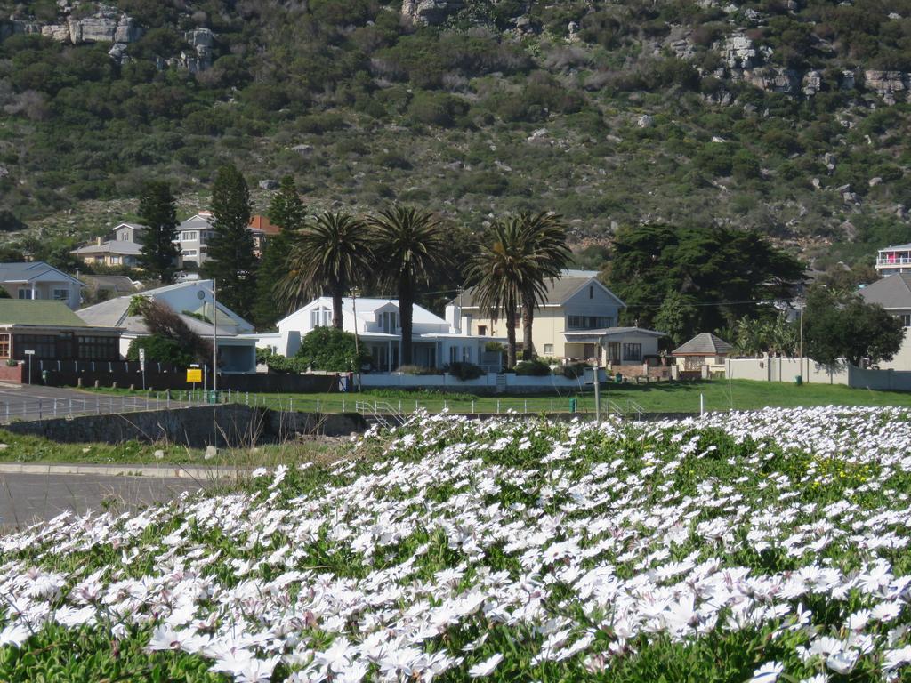 Palm Villa Cottage Kommetjie Buitenkant foto
