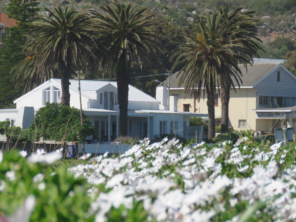 Palm Villa Cottage Kommetjie Buitenkant foto