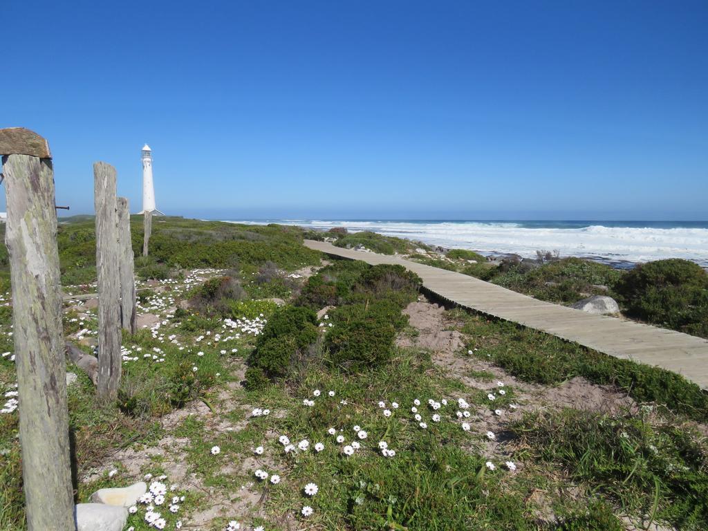 Palm Villa Cottage Kommetjie Buitenkant foto