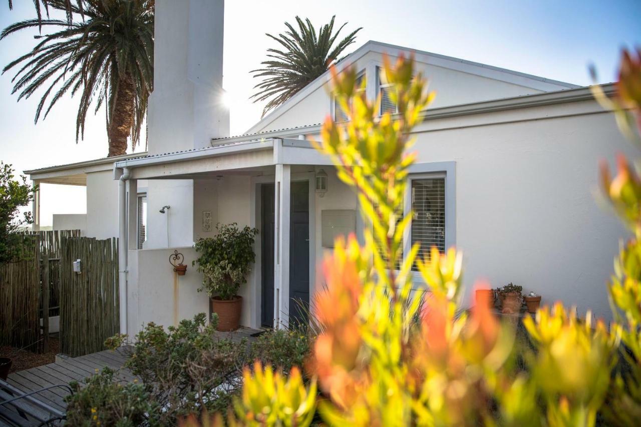 Palm Villa Cottage Kommetjie Buitenkant foto